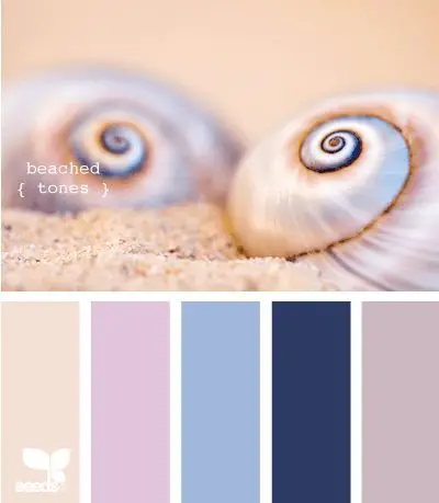 seashell color palette