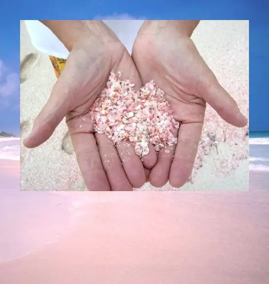 Pink Sand Beach Eleuthera