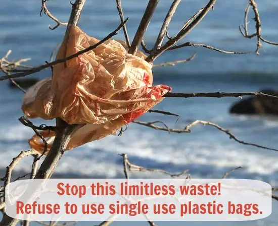 Single use Plastic Bag Ocean Waste