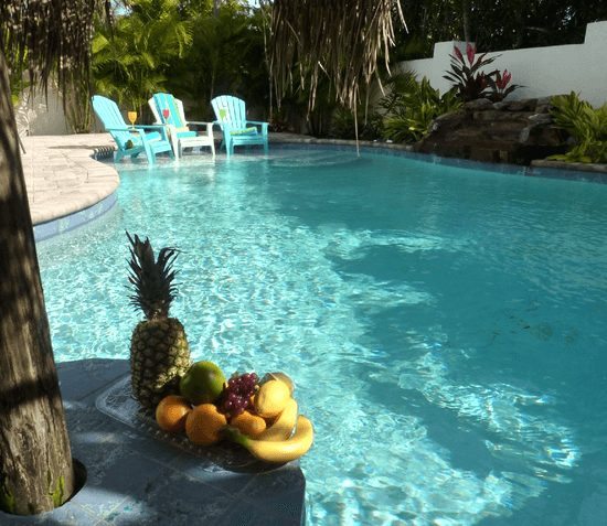 Backyard Tropical Pool Paradise