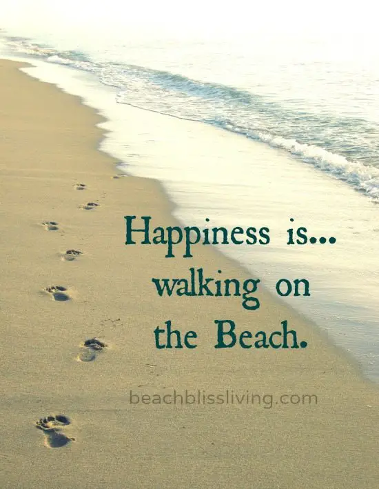 Walking on the Beach Footprints in Sand