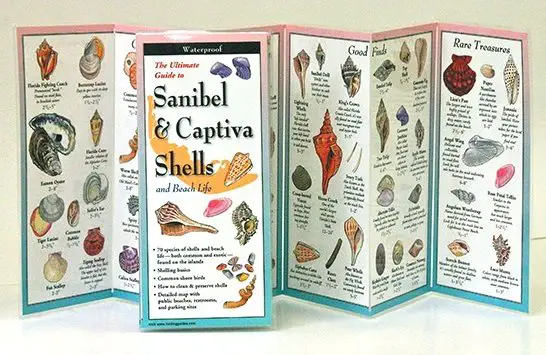 Sanibel Shell Guide