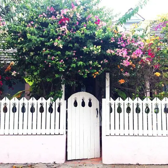 House with Pineapple Fence on Harbour Island