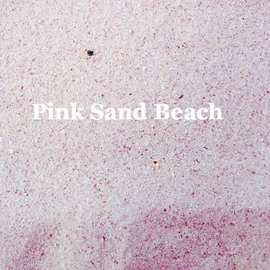 Pink Sand Beach Close up Photograph