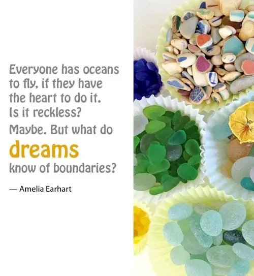Ocean Quote by Amelia Earhart