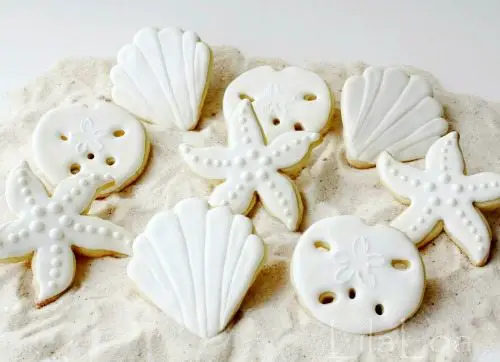 Seashell Cookies