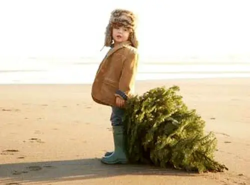 Toddler on Beach with Christmas Tree