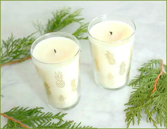 Tropical Candles Gift Idea