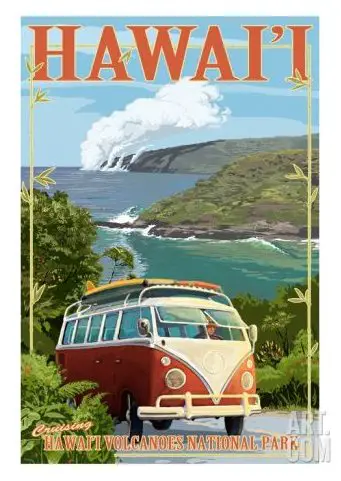 Hawaii Travel Ad Poster