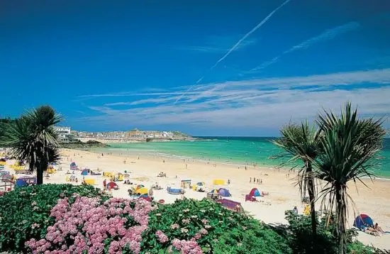 Palm Tree Beach UK St Ives Cornwall