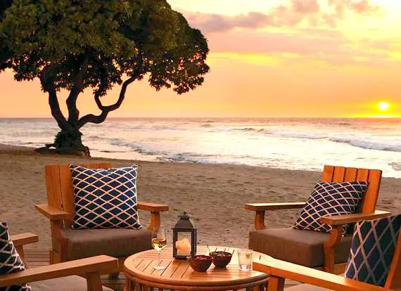 Beach Tree Bar Hawaii Best Bar
