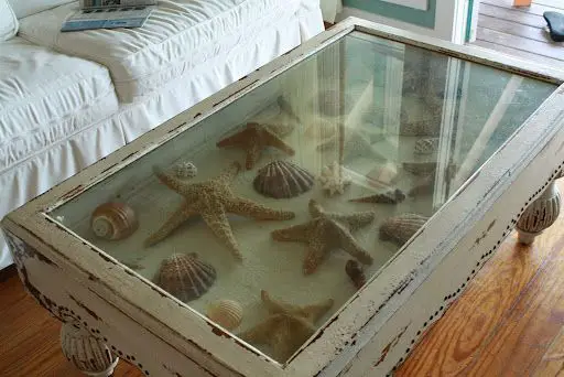 coffee table filled with starfish