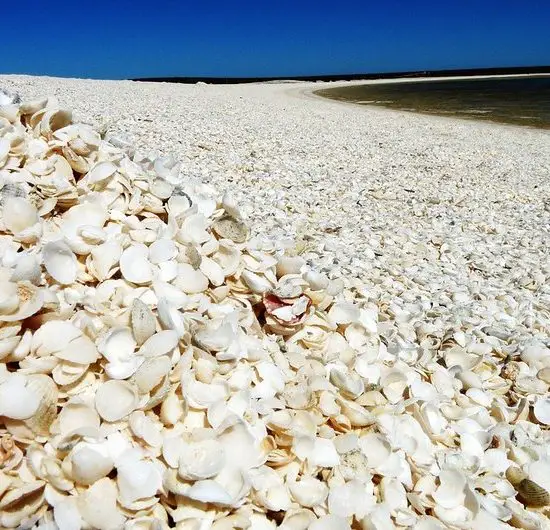 Shell Beach Australia - Beach Bliss Living