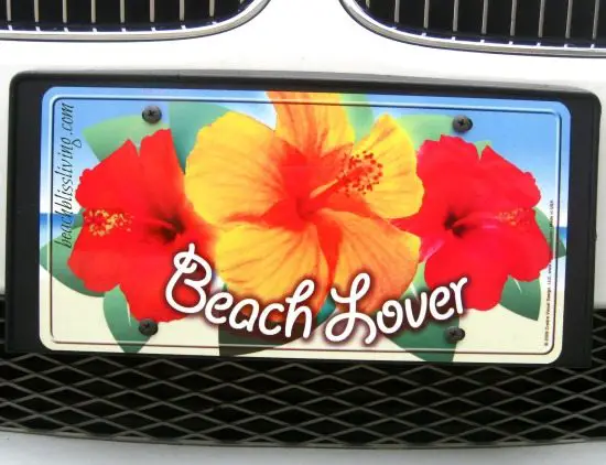 beach life license plate