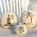 Craved Beach Sand Pumpkins
