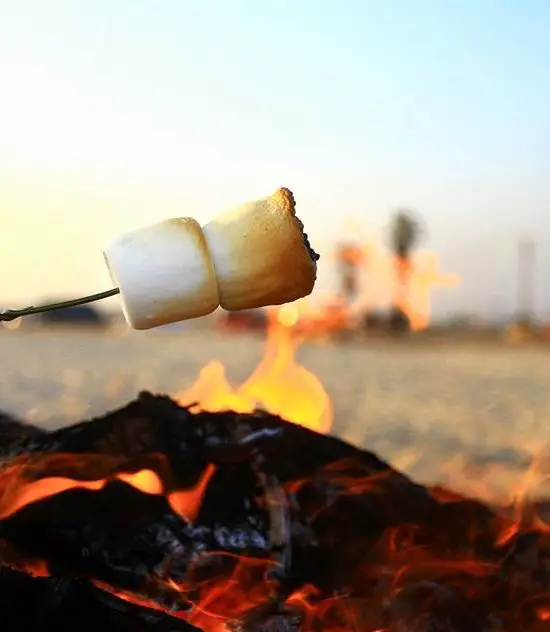 Mmmm Smores How To Roast Marshmallows Over A Beach Bonfire