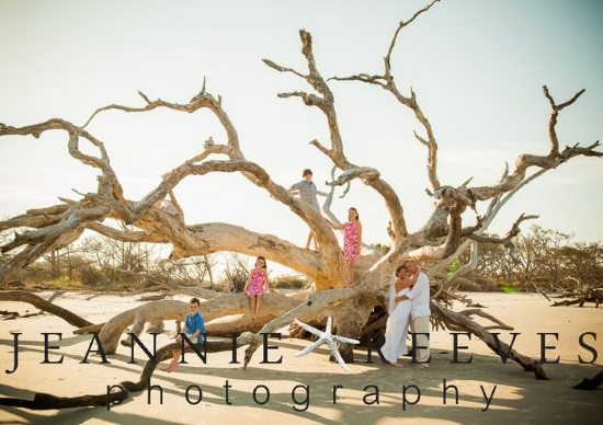 Jekyll Island S Driftwood Beach A Haunting Tree Boneyard Wedding
