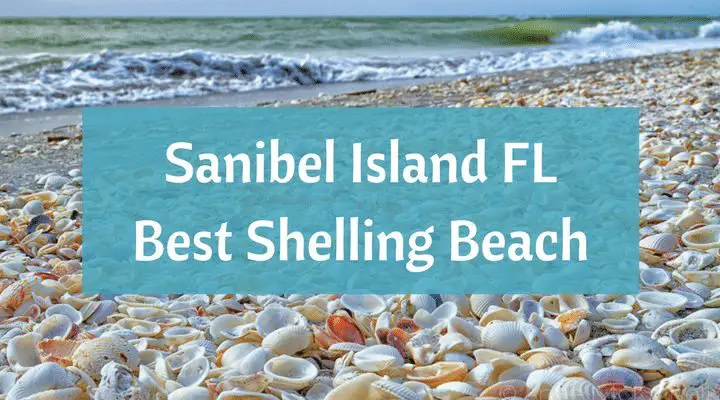 Sanibel Island Fl The World S Best Shelling Beaches Beach Bliss Living