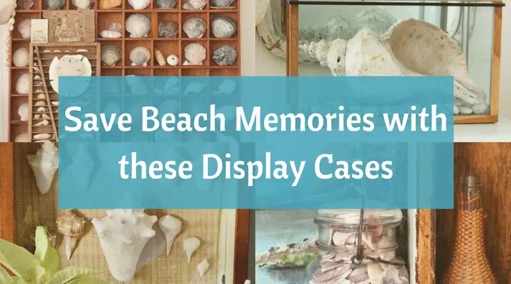 Seashell Artwork Will Preserve Those Beach Memories