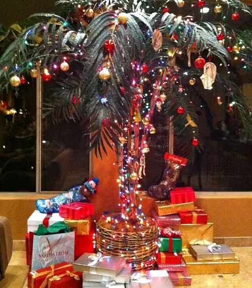 Deck the Palms - Palm Christmas Trees & Decorations to Create a Tropical Oasis - Beach Bliss Living