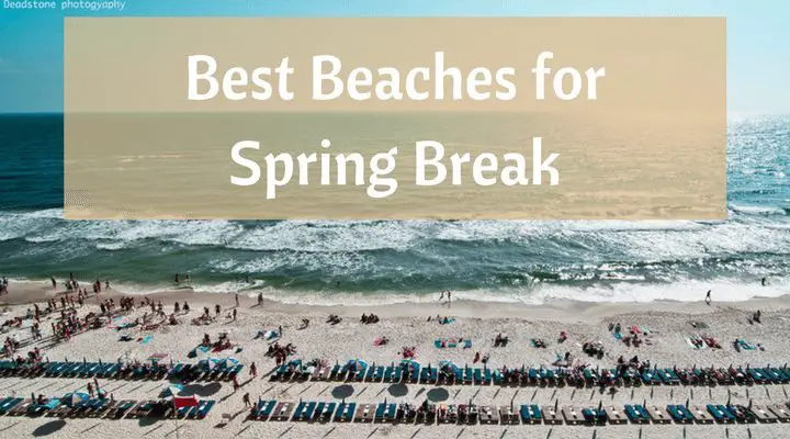 An Overview of the Best Beaches for Spring Breakers - Beach Bliss Living